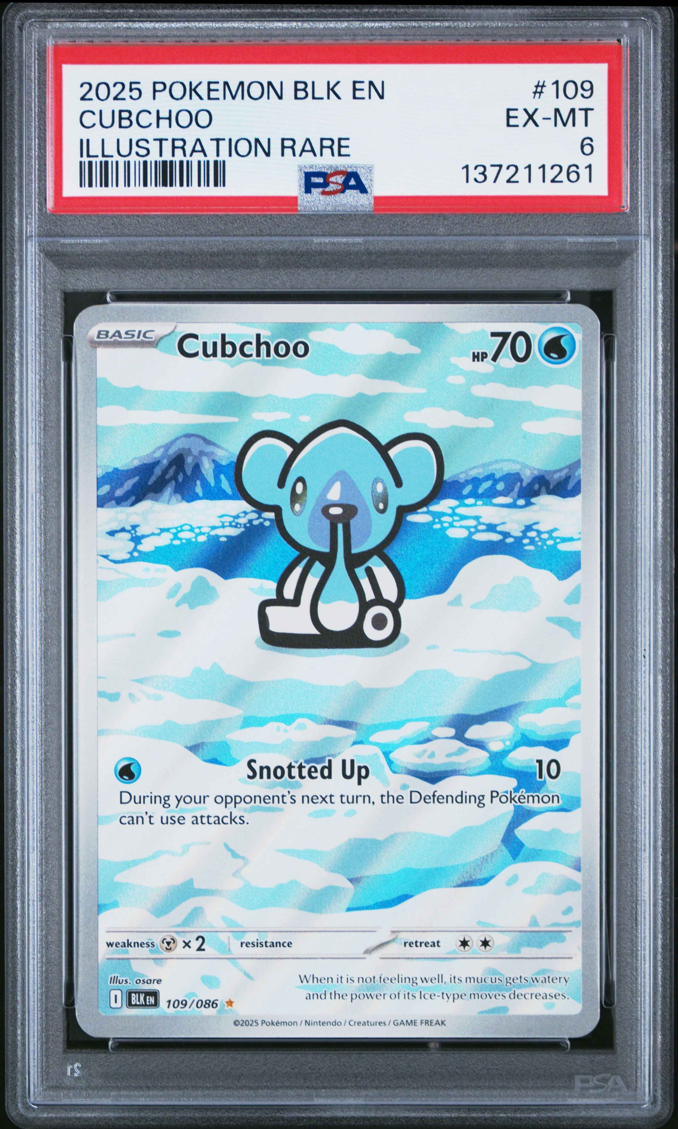 CUBCHOO | 2025 POKEMON BLK EN-BLACK BOLT 109 | ILLUSTRATION RARE | PSA EX-MT 6