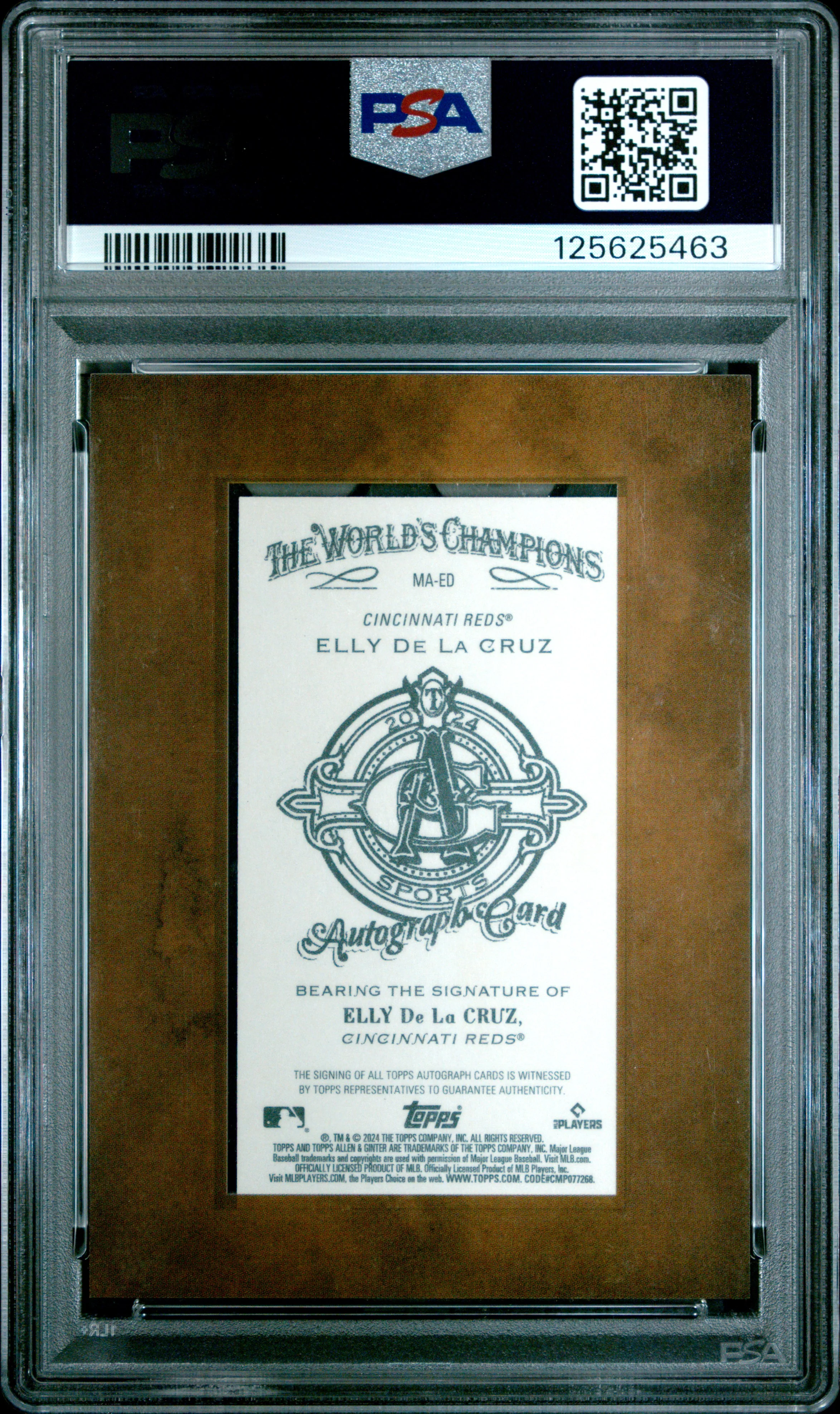 ELLY DE LA CRUZ | 2024 TOPPS ALLEN & GINTER MINI BASEBALL AUTOGRAPHS MAED | PSA NM-MT 8 - Image 2