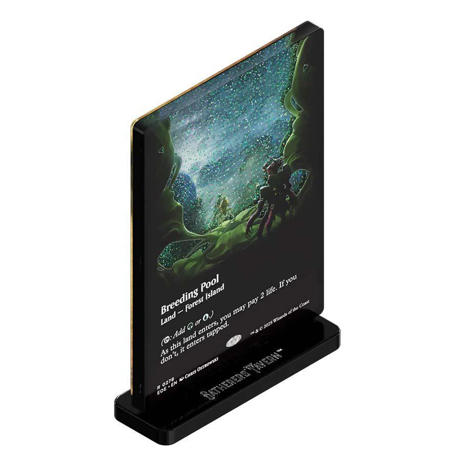 Gatherers' Tavern MTG Acrylic Slab Standee - Image 14