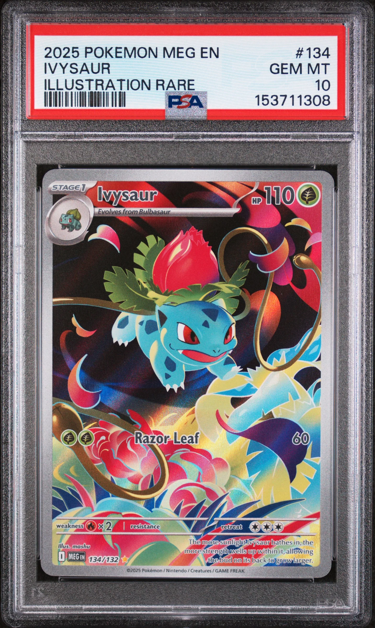 IVYSAUR | 2025 POKEMON MEG EN-MEGA EVOLUTION 134 | ILLUSTRATION RARE | PSA GEM MT 10